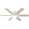 image:image52 Black Ceiling Fan by HunterFresh White