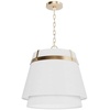 image:imageHunter  Ada Lee 1Light Alturas Gold Medium Size Pendant Light Dimmable Transitional Style Cone Shaped for Bedrooms Kitchens Dining Living Rooms  48160