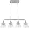 image:imageHunter  Cypress Grove 4Light Brushed Nickel Large Chandelier Dimmable Transitional Style Linear Shaped for Bedrooms Kitchens Dining Living Rooms  19326