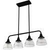 image:imageHunter  Cypress Grove 4Light Natural Black Iron Large Chandelier Dimmable Transitional Style Linear Shaped for Bedrooms Kitchens Dining Living Rooms  19184Natural Iron