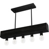 image:imageHunter  Donelson 5Light Natural Black Iron Large Chandelier Dimmable Transitional Style Linear Shaped for Bedrooms Kitchens Dining Living Rooms  13055Natural Black Iron