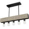 image:imageHunter  Donelson 5Light Natural Black Iron Large Chandelier Dimmable Transitional Style Linear Shaped for Bedrooms Kitchens Dining Living Rooms  13055Rustic Iron