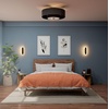 image:imageHunter 30 Brookside Fandelier Ceiling Fan LED Light Remote Black  Compact indoor fandelier with enclosed blades LED light remote and statement style for bedrooms offices or small spacesMatte Black  Black Shade