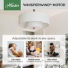 image:imageHunter 30 Brookside Fandelier Ceiling Fan LED Light Remote Black  Compact indoor fandelier with enclosed blades LED light remote and statement style for bedrooms offices or small spacesLuxe Gold
