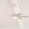 image:imageHunter 44 inch Indoor Ceiling Fan with LED Light and Remote Control  Standard Mount Ceiling Fan 6 Blades For Bedroom Living Room or Kitchen Quiet  Pacer 51207 Blush Pink  with LED Light and Remote Control Quiet 6 Blades For Bedroom Living Room Kitchen 51207Blush Pink