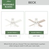 image:imageHunter 52 inch Beck Fresh White Ceiling Fan with LED Light Kit and Pull Chain  Standard Mount Pull Chain 4 Blades For Bedroom Living Room Kitchen 51744Fresh White