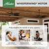 image:imageHunter Bayview Outdoor or Indoor Ceiling Fan No Light 54 inch White  Standard Mount Pull Chain 5 Blades For Living Room Patio Porch Garage 50474Provencal Gold finish