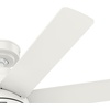 image:imageHunter Brazos Outdoor with LED Light 52 inch Matte Black  Matte BlackFresh White