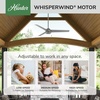 image:imageHunter Cassius Outdoor or Indoor Ceiling Fan 52 inch Matte Silver  No Light Standard Mount Pull Chain 3 Blades For Living Room Patio Porch Garage 59262Matte Silver