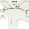 image:imageHunter Downtown Outdoor or Indoor Ceiling Fan 60 inch Matte Black  No Light Standard Mount Wall Control Quiet 7 Blades For Patio Porch Garage 51590Matte White