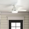image:imageHunter Fan 52 inch Casual Fresh White IndoorOutdoor Ceiling Fan with LED Light Kit RenewedFresh White  Blonde Oak