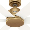 image:imageHunter Fan 52 inch Ceiling Fan with No Light Outdoor or Indoor Luxe Gold  Matte White Ceiling Fan for Porch Living Room Office Kitchen Garage 6 Blades Renewed Matte BlackLuxe Gold