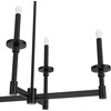 image:imageHunter Fan Company 19056 Briargrove Linear Chandelier Matte Black