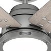 image:imageHunter Fan Company 51883 Gravity Ceiling Fan Matte Silver