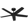 image:imageHunter Fan Outdoor or Indoor Ceiling Fan 44 in Matte Black Ceiling Fan with Light and Remote for Patios Living Room Bedroom Porch Garage 5 Blades Renewed