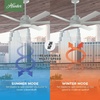 image:imageHunter Fan Outdoor or Indoor Ceiling Fan 60 in White Ceiling Fan with No Light for Patios Living Room Bedroom Porch Garage Renewed