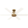 image:imageHunter Kennicott Outdoor or Indoor Ceiling Fan 52 inch Matte Silver  No Light Standard Mount Wall Control 6 Blades For Living Room Patio Porch Garage 51179Luxe Gold