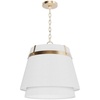 image:imageHunter  Ada Lee 1Light Alturas Gold Medium Size Pendant Light Dimmable Transitional Style Cone Shaped for Bedrooms Kitchens Dining Living Rooms  48160