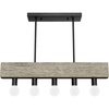 image:imageHunter  Donelson 5Light Natural Black Iron Large Chandelier Dimmable Transitional Style Linear Shaped for Bedrooms Kitchens Dining Living Rooms  13055Rustic Iron