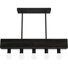 image:imageHunter  Donelson 5Light Natural Black Iron Large Chandelier Dimmable Transitional Style Linear Shaped for Bedrooms Kitchens Dining Living Rooms  13055Natural Black Iron