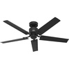 image:imageHunter Fan 52 inch Casual Matte Black IndoorOutdoor Ceiling Fan with 5 Blades and Pull Chain Renewed