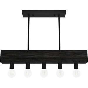 image:imageHunter  Donelson 5Light Natural Black Iron Large Chandelier Dimmable Transitional Style Linear Shaped for Bedrooms Kitchens Dining Living Rooms  13055Natural Black Iron