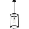 image:imageHunter  Astwood 1Light Matte Black Caged Style Dimmable Medium Size Pendant Light for Bedrooms Kitchens Dining Living Rooms  19123Matte Black