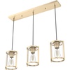 image:imageHunter  Astwood 3light Brushed Nickel Large Cluster Light Dimmable Caged Style Linear Shaped for Bedrooms Kitchens Dining Living Rooms  19138Matte Black