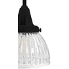 image:imageHunter  Cypress Grove 1light Natural Black Iron Mini Pendant Light Dimmable Transitional Style Dome Shaped for Bedrooms Kitchens Dining Living Rooms  19229