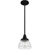 image:imageHunter  Cypress Grove 1light Natural Black Iron Mini Pendant Light Dimmable Transitional Style Dome Shaped for Bedrooms Kitchens Dining Living Rooms  19229