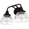 image:imageHunter  Cypress Grove 2light Natural Black Iron Medium Size Vanity Light Dimmable Transitional Style for Bedrooms Kitchens Foyers Bathrooms  19255