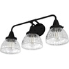 image:imageHunter  Cypress Grove 3light Natural Black Iron Medium Size Vanity Light Dimmable Transitional Style for Bedrooms Kitchens Foyers Bathrooms  19257