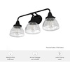 image:imageHunter  Cypress Grove 3light Natural Black Iron Medium Size Vanity Light Dimmable Transitional Style for Bedrooms Kitchens Foyers Bathrooms  19257