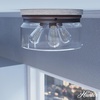 image:imageHunter  Devon Park 3Light Brushed Nickel Medium Size Flush Mount Light Dimmable Rustic Style Round Shaped for Bedrooms Kitchens Dining Living Rooms  19152Onyx Bengal