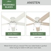 image:imageHunter 52 Anisten Low Profile Ceiling Fan Light Pull Chain Matte Black  Lowprofile housing fits rooms with lower ceilings WhisperWind motor 2 A15 LED bulbs and pull chains for indoor spacesFresh White