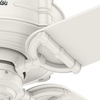 image:imageHunter Brunswick Indoor  Outdoor Ceiling Fan with Remote Control 52 Fresh White