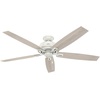 image:imageHunter Donegan Indoor with LED Light with Pull Chain Control 60 Fresh White