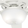 image:imageHunter Donegan Indoor with LED Light with Pull Chain Control 60 Fresh White