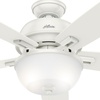 image:imageHunter Donegan Indoor with LED Light with Pull Chain Control 60 Fresh White