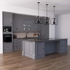 image:imageHunter Fan Company 19081 Dukestown Pendant Light Natural Iron