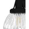image:imageHunter Fan Company 19254 Cypress Grove Wall Sconce Onyx BengalNatural Iron