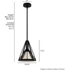image:imageHunter Fan Company 19449 Rafner Pendant Light Natural Black Iron