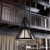 image:imageHunter Fan Company 19449 Rafner Pendant Light Natural Black Iron