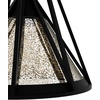 image:imageHunter Fan Company 19449 Rafner Pendant Light Natural Black Iron