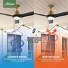 image:imageHunter Fan Outdoor or Indoor Ceiling Fan 52 in Gold Ceiling Fan with Light and Remote for Patios Living Room Bedroom Porch Garage 3 Blades Renewed