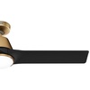 image:imageHunter Fan Outdoor or Indoor Ceiling Fan 52 in Gold Ceiling Fan with Light and Remote for Patios Living Room Bedroom Porch Garage 3 Blades Renewed