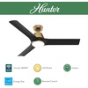 image:imageHunter Fan Outdoor or Indoor Ceiling Fan 52 in Gold Ceiling Fan with Light and Remote for Patios Living Room Bedroom Porch Garage 3 Blades Renewed