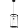 image:imageHunter  Astwood 1Light Matte Black Caged Style Dimmable Medium Size Pendant Light for Bedrooms Kitchens Dining Living Rooms  19123Matte Black