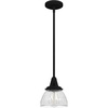 image:imageHunter  Cypress Grove 1light Natural Black Iron Mini Pendant Light Dimmable Transitional Style Dome Shaped for Bedrooms Kitchens Dining Living Rooms  19229