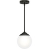 image:imageHunter  Hepburn 1Light Matte Black Modern Style Dimmable Medium Size Pendant Light for Bedrooms Kitchens Dining Living Rooms  19871